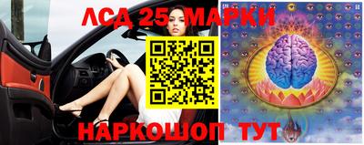 крисы Ставрополь