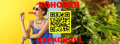 крисы Ставрополь
