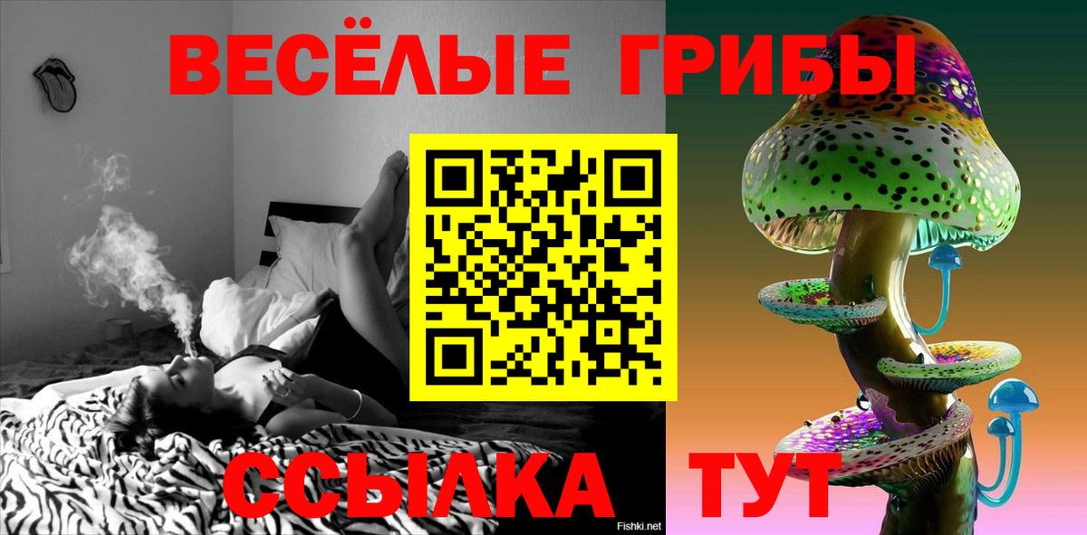 Псилоцибиновые грибы ЛСД  Вход с VPN  Артёмовский  Псилоцибиновые грибы GOLDEN TEACHER 