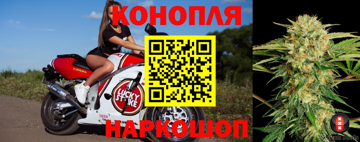 Конопля SATIVA & INDICA  Канабис VHQ  Артёмовский  Вход с VPN  Бошки марихуана сатива 